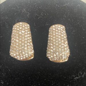 Lustrous shiny stones and Gold Earrings